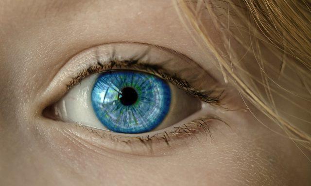 L’œil humain est-il similaire à une caméra ?
