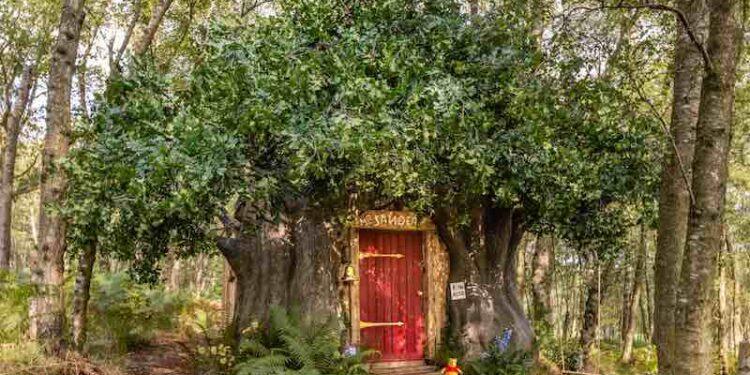 La cabane de Winnie l’ourson est maintenant proposée à la location sur Airbnb, par Disney