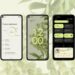 Android 12 arrive en phase bêta et présente un énorme changement de design 2 Android 12 arrive en phase bêta et présente un énorme changement de design