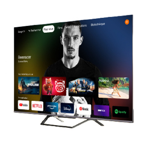 Téléviseurs IRIS 32 E31