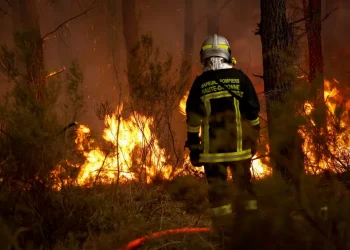 pompier filme feu de foret
