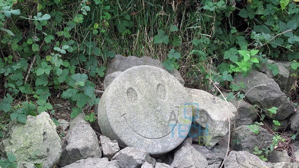 Facebook veut vous transformer en emoji !