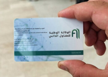 Carte de Auto-Entrepreneur : Tout ce que vous devez savoir avant la commander