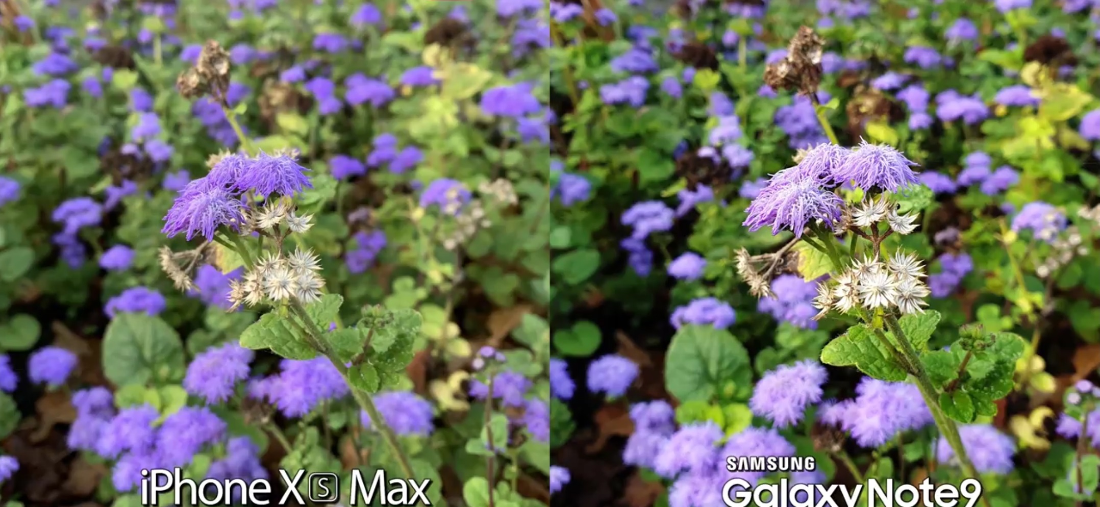 Comparatif Photo - L'iPhone XS est Bon le Jour mais Galére la Nuit contre le Galaxy Note 9 ! 8 Screenshot 20180924 001413 MX Player