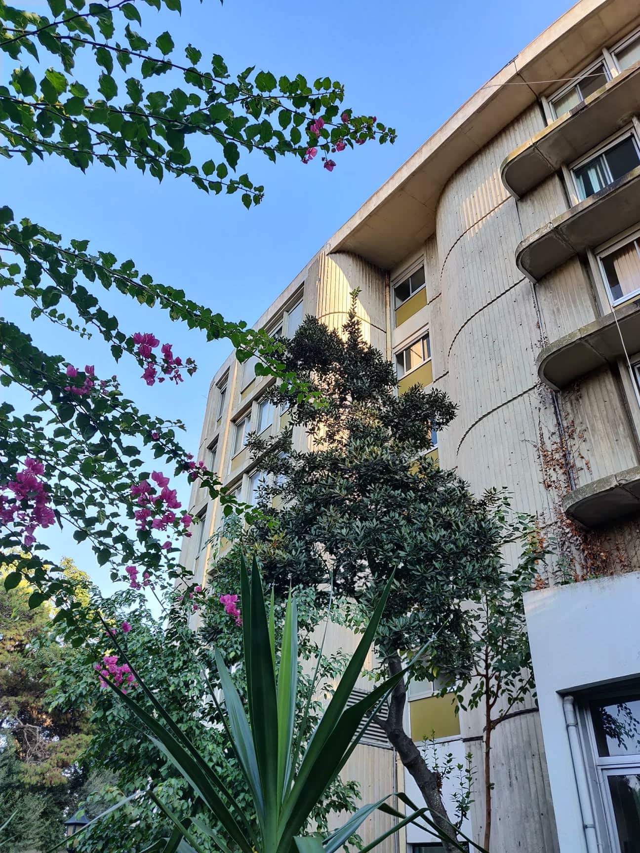 OnePlus - Android 9.0 Pie en Débarque sur le OnePlus 6 5 op pic 8