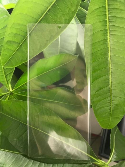 Samsung Galaxy Note10 disposera d'une technologie Sound on Display 2 galaxy note10 protector ecran 3