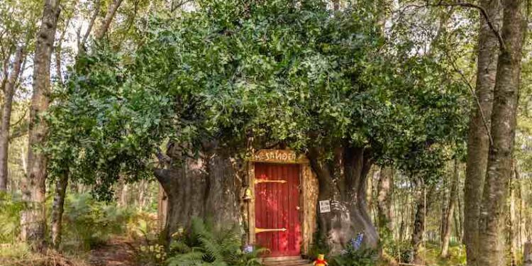 La cabane de Winnie l'ourson est maintenant proposée à la location sur Airbnb, par Disney 1 La cabane de Winnie l’ourson est maintenant proposée à la location sur Airbnb, par Disney